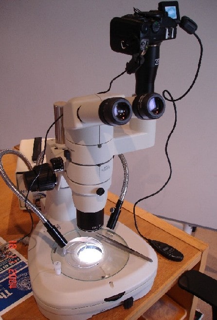Nikon SMZ Microscope