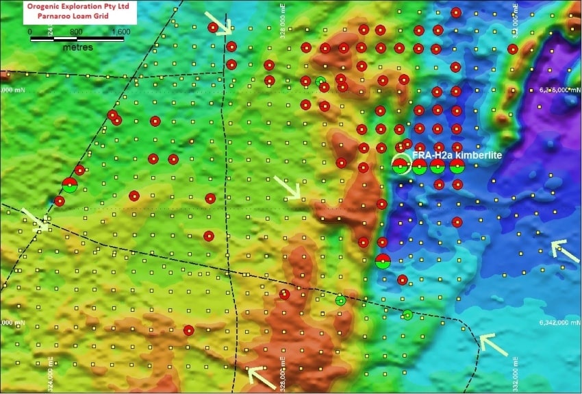 Arial total magnetic intensity image for the Parnaroo Loam Grid area. The 
discovered kimberlite FRA-H2a location is shown. Possible interpreted kimberlite 
dyke locations are indicated by White arrows.
